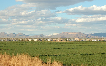 Central Arizona-Phoenix LTER site including mountains, grass and buildings